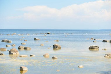 Güneşli bir yaz gününde Baltık kıyılarından panoramik manzara. Kayalar yakın plan. Doğa, çevre koruma, tatiller, yürüyüş, keşif kavramları