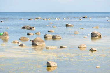 Güneşli bir yaz gününde Baltık kıyılarından panoramik manzara. Kayalar yakın plan. Doğa, çevre koruma, tatiller, yürüyüş, keşif kavramları