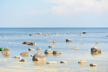 Güneşli bir yaz gününde Baltık kıyılarından panoramik manzara. Kayalar yakın plan. Doğa, çevre koruma, tatiller, yürüyüş, keşif kavramları