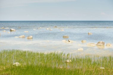 Güneşli bir yaz gününde Baltık kıyılarından panoramik manzara. Kayalar yakın plan. Doğa, çevre koruma, tatiller, yürüyüş, keşif kavramları