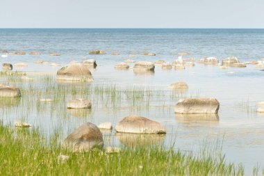 Güneşli bir yaz gününde Baltık kıyılarından panoramik manzara. Kayalar yakın plan. Doğa, çevre koruma, tatiller, yürüyüş, keşif kavramları