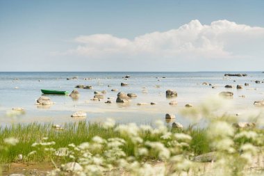 Güneşli bir yaz gününde Baltık kıyılarından panoramik manzara. Kayalar yakın plan. Doğa, çevre koruma, tatiller, yürüyüş, keşif kavramları