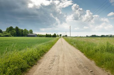 Fırtınadan sonra tarladan geçen boş köy yolu. Arabadan bir manzara. Idyllic kırsal kesim. Renkli, parlayan günbatımı bulutları. Ulaşım, yolculuk, özgürlük, seyahat tutkusu, uzak yerler kavramları.