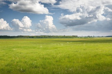 Tarlaya sürülmüş tarla ve ormanın yeşil tepeleri. Idyllic yaz kırsal manzarası. Yağmurdan sonra dramatik bir gökyüzü. Saf doğa, çevre, çiftlik, kırsal yaşam, eko-turizm. Panoramik görünüm