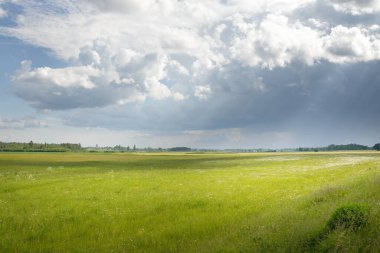 Tarlaya sürülmüş tarla ve ormanın yeşil tepeleri. Idyllic yaz kırsal manzarası. Dramatik gökyüzü, yağmur, fırtına. Saf doğa, çevre, çiftlik, kırsal yaşam, eko-turizm. Panoramik görünüm