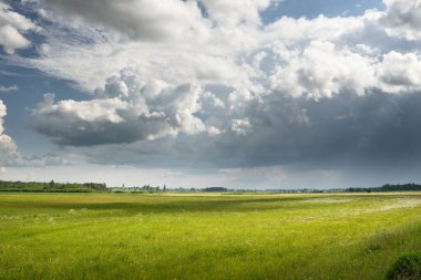 Tarlaya sürülmüş tarla ve ormanın yeşil tepeleri. Idyllic yaz kırsal manzarası. Dramatik gökyüzü, yağmur, fırtına. Saf doğa, çevre, çiftlik, kırsal yaşam, eko-turizm. Panoramik görünüm