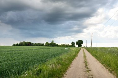 Fırtınadan sonra tarladan geçen boş köy yolu. Arabadan bir manzara. Idyllic kırsal kesim. Renkli, parlayan günbatımı bulutları. Ulaşım, yolculuk, özgürlük, seyahat tutkusu, uzak yerler kavramları.