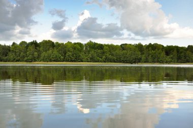 Kristal berrak bir orman gölü (nehir) kıyısından panoramik manzara. Idyllic yaz manzarası. Doğa, çevre, ekoloji, eko-turizm, yürüyüş, tatiller, yüzme ve rahatlatıcı kavramlar