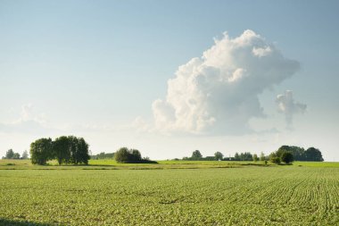 Tarlaya sürülmüş tarla ve ormanın yeşil tepeleri. Idyllic yaz kırsal manzarası. Yağmurdan sonra dramatik bir gökyüzü. Saf doğa, çevre, çiftlik, kırsal yaşam, eko-turizm. Panoramik görünüm