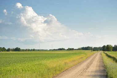 Güneşli bir günde yeşil tarlalarda ve ormanlarda araba sürmek. Açık mavi gökyüzü. Idyllic kırsal alanı, konsept manzarası. Doğa, uzak yerler, lojistik, yaz tatili, yol gezisi