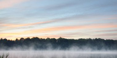 Orman Gölü (nehir) gün doğumunda sisli bir havada. Sudaki simetri yansımaları, doğal ayna. Açık pembe gökyüzü. Resimli panoramik manzara. Doğa, çevre koruma, yaz tatilleri