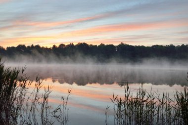 Orman Gölü (nehir) gün doğumunda sisli bir havada. Sudaki simetri yansımaları, doğal ayna. Açık pembe gökyüzü. Resimli panoramik manzara. Doğa, çevre koruma, yaz tatilleri
