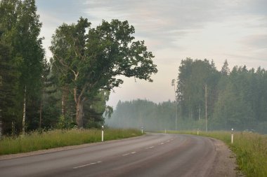 Gündoğumunda tarla ve ormanın içinden (asfalt yol) geçer. Yumuşak güneş ışığı, parlayan bulutlar. Tatiller, lojistik, ücra yerler. Arabadan bak.