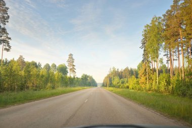 Gündoğumunda tarla ve ormanın içinden (asfalt yol) geçer. Yumuşak güneş ışığı, parlayan bulutlar. Tatiller, lojistik, ücra yerler. Arabadan bak.