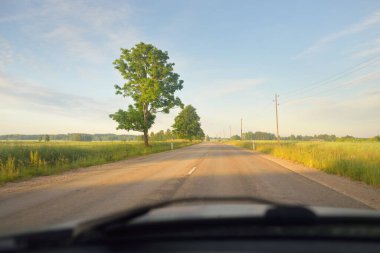 Gündoğumunda tarla ve ormanın içinden (asfalt yol) geçer. Yumuşak güneş ışığı, parlayan bulutlar. Tatiller, lojistik, ücra yerler. Arabadan bak.