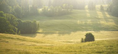 Güneşin doğuşunda sisli bir havada yeşil orman tepeleri ve çayırlarının (tarımsal alanlar) resimli panoramik manzarası. Idyllic kırsal kesim. Pastoral manzara. Saf doğa, ekoloji, eko-turizm