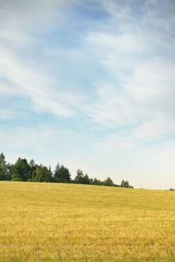 Yeşil bir tarla ve ormanın tepelerinde çarpıcı bir gökyüzü. Gün doğumu. Yağmur ve fırtınadan sonra parlayan bulutlar. Saf güneş ışığı. Idyllic yaz kırsal manzarası. Doğa, ekoloji, eko-turizm