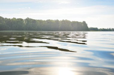 Kristal berrak bir orman gölü (nehir) kıyısından panoramik manzara. Idyllic yaz manzarası. Doğa, çevre, ekoloji, eko-turizm, yürüyüş, tatiller, yüzme ve rahatlatıcı kavramlar