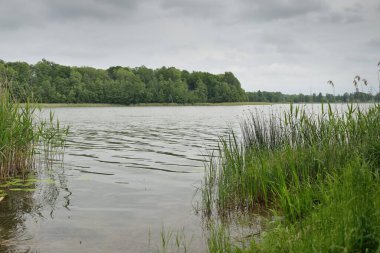 Kristal berrak bir orman gölü (nehir) kıyısından panoramik manzara. Yağmurdan sonra dramatik bir gökyüzü. Idyllic yaz manzarası. Doğa, çevre, ekoloji, eko-turizm, yürüyüş kavramları