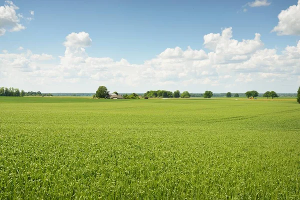 Zielone Wzgórza Zaoranych Pól Uprawnych Lasów Idylliczna Letnia Scena Wiejska — Zdjęcie stockowe