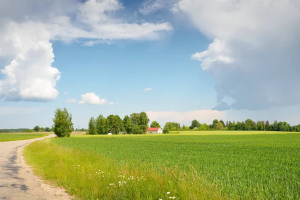 Tarlaya sürülmüş tarla ve ormanın yeşil tepeleri. Idyllic yaz kırsal manzarası. Yağmurdan sonra dramatik bir gökyüzü. Saf doğa, çevre, çiftlik, kırsal yaşam, eko-turizm. Panoramik görünüm