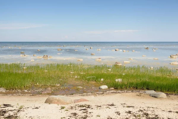Güneşli bir yaz gününde Baltık kıyılarından panoramik manzara. Kayalar yakın plan. Doğa, çevre koruma, tatiller, yürüyüş, keşif kavramları