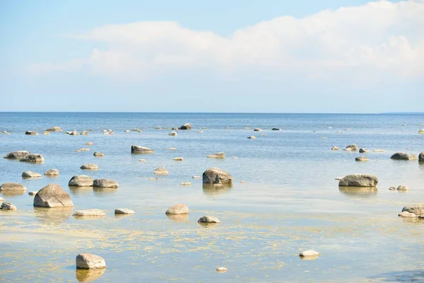 Güneşli bir yaz gününde Baltık kıyılarından panoramik manzara. Kayalar yakın plan. Doğa, çevre koruma, tatiller, yürüyüş, keşif kavramları
