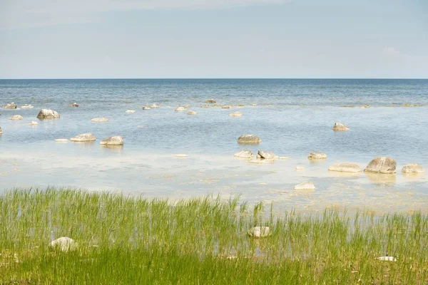 Güneşli bir yaz gününde Baltık kıyılarından panoramik manzara. Kayalar yakın plan. Doğa, çevre koruma, tatiller, yürüyüş, keşif kavramları