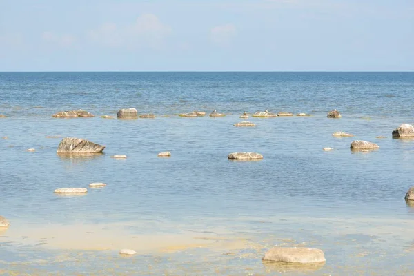 Güneşli bir yaz gününde Baltık kıyılarından panoramik manzara. Kayalar yakın plan. Doğa, çevre koruma, tatiller, yürüyüş, keşif kavramları