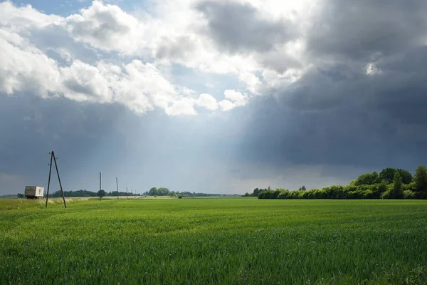 Zelené Kopce Orané Zemědělské Půdy Lesů Idylická Letní Venkovská Scéna — Stock fotografie