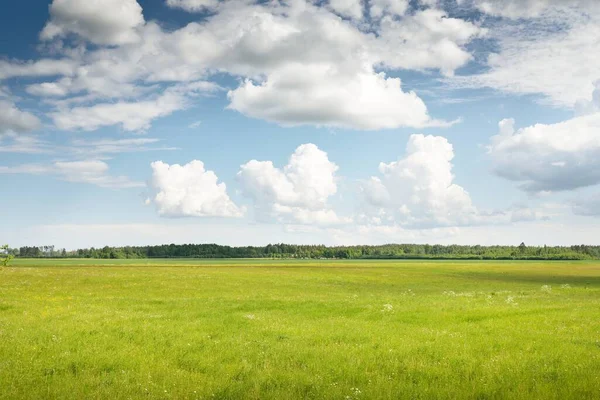 Tarlaya sürülmüş tarla ve ormanın yeşil tepeleri. Idyllic yaz kırsal manzarası. Yağmurdan sonra dramatik bir gökyüzü. Saf doğa, çevre, çiftlik, kırsal yaşam, eko-turizm. Panoramik görünüm
