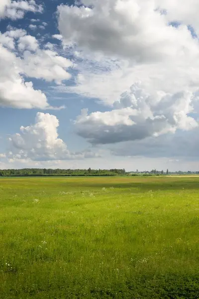Tarlaya sürülmüş tarla ve ormanın yeşil tepeleri. Idyllic yaz kırsal manzarası. Dramatik gökyüzü, yağmur, fırtına. Saf doğa, çevre, çiftlik, kırsal yaşam, eko-turizm. Panoramik görünüm