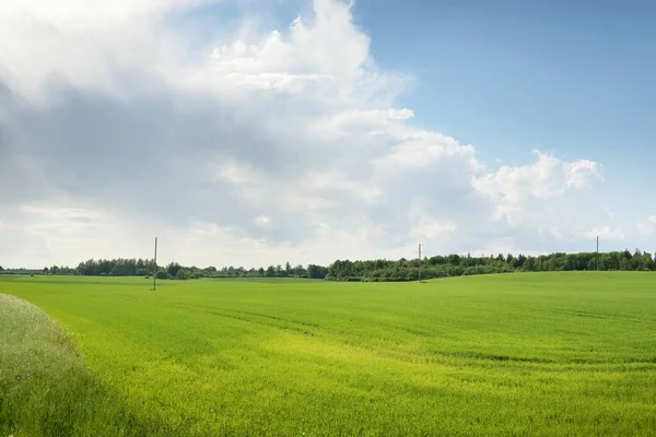 Green Hills Plowed Agricultural Field Forest Idyllic Summer Rural Scene — Stock Photo, Image
