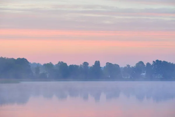 Lago Del Bosque Río Una Niebla Amanecer Reflejos Simetría Agua — Foto de Stock