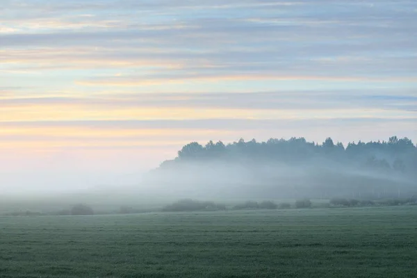 Зеленое Поле Лесной Луг Лужайка Тумане Восходе Солнца Мягкий Солнечный — стоковое фото