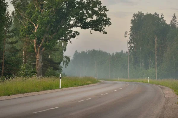 Gündoğumunda tarla ve ormanın içinden (asfalt yol) geçer. Yumuşak güneş ışığı, parlayan bulutlar. Tatiller, lojistik, ücra yerler. Arabadan bak.