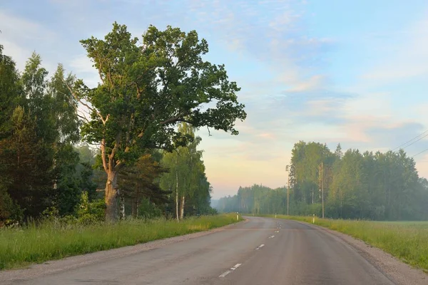 Gündoğumunda tarla ve ormanın içinden (asfalt yol) geçer. Yumuşak güneş ışığı, parlayan bulutlar. Tatiller, lojistik, ücra yerler. Arabadan bak.