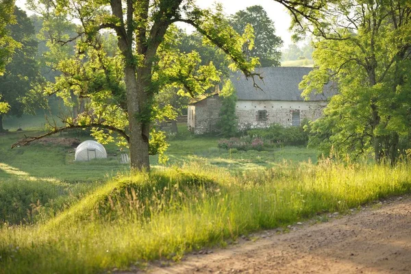 Driving Car Green Country Fields Forest Sunrise Idyllic Rural Scene — Stock Photo, Image