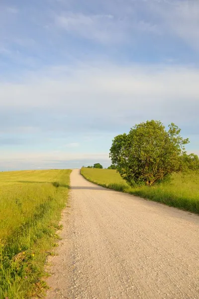 Gün doğarken yeşil tarlalardan ve ormandan arabayla geçmek. Idyllic kırsal alanı, konsept manzarası. Doğa, uzak yerler, lojistik, yaz tatili, yol gezisi, eko-turizm, özgürlük