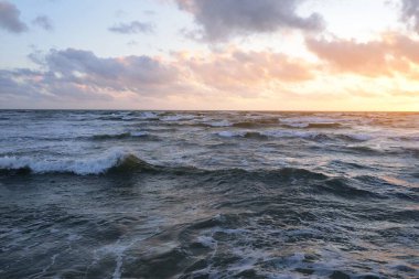 Fırtınadan sonra parlayan pembe ve altın rengi günbatımı bulutlarıyla mavi gökyüzünün altında Baltık Denizi kıyısında. Dalgalar çarpıyor. Doğa, çevre koruma, eko-turizm. Resimli panoramik manzara