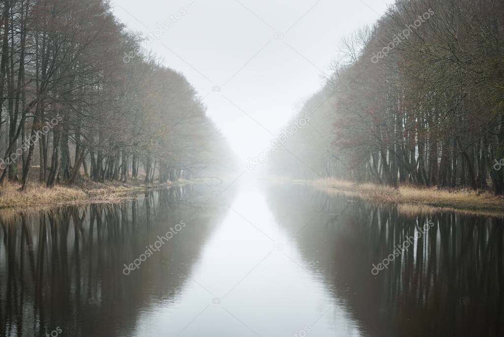 Canal (river) in a forest park. Autumn colors, fog, mist, overcast day. Mighty trees, dry plants. Early spring. Symmetry reflections in crystal clear water, natural mirror. Dark atmospheric landscape