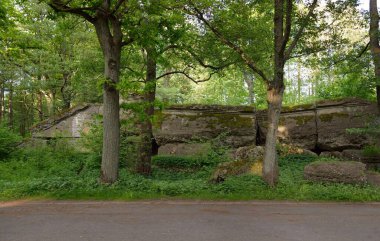 Yeşil yaz ormanının ortasında terk edilmiş eski bir askeri sığınak (muhafız kulübesi). Avrupa. Şehir simgeleri, mimari. Tarih, geçmiş, savaş, çatışma, takviye, koruma. Panoramik görünüm