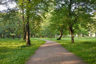 Orman parkından geçen patika (kırsal yol, sokak). Güçlü yeşil yapraklı ağaçlar, kır çiçekleri, bitkiler. Yaz manzarası. Doğa, ekoloji. Eko-turizm, yürüyüş. Bisiklet, kuzey yürüyüşü