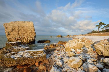 Gün batımında Baltık kıyıları (kum tepeleri). Çam ağaçları, yumuşak güneş ışığı, berrak gökyüzü, parlayan bulutlar, dalgalar. Idyllic deniz manzarası. Ziemelu Mols, Liepaja, Letonya, Avrupa. Seyahat yerleri, eko-turizm, doğa