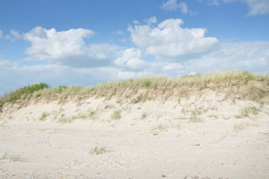 Baltık deniz kıyısı. Açık mavi gökyüzü. Yumuşak güneş ışığı. Kumsal, kum tepeleri, çakıl taşları. Saf doğa, çevre koruma, ekoloji, eko-turizm, yürüyüş, yaz tatili, dinlenme. Panoramik görünüm