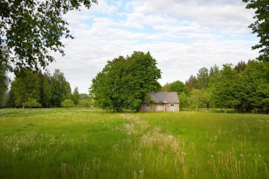 Güneşli bir günde yeşil tarla ve orman. Arka planda eski ev (kütük kulübe). Dramatik bir gökyüzü. Idyllic kırsal kesim. Pastoral manzara. Litvanya. Doğa, ekoloji, eko-turizm, yürüyüş, yerel seyahat