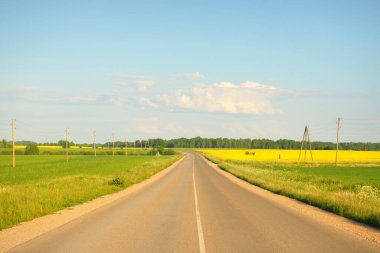 Sarı kolza tohumu tarlası ve ormanın içinden geçen köy yolu. Açık mavi gökyüzü. İlahi kırsal bir manzara. Tarım, akaryakıt endüstrisi, alternatif enerji, çevresel koruma, uzak yerler