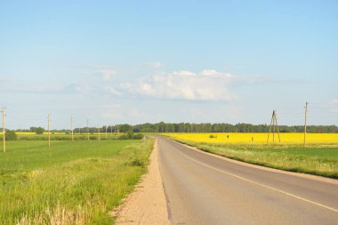 Sarı kolza tohumu tarlası ve ormanın içinden geçen köy yolu. Açık mavi gökyüzü. İlahi kırsal bir manzara. Tarım, akaryakıt endüstrisi, alternatif enerji, çevresel koruma, uzak yerler