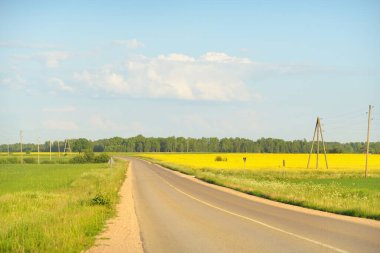 Sarı kolza tohumu tarlası ve ormanın içinden geçen köy yolu. Açık mavi gökyüzü. İlahi kırsal bir manzara. Tarım, akaryakıt endüstrisi, alternatif enerji, çevresel koruma, uzak yerler