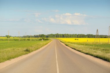 Sarı kolza tohumu tarlası ve ormanın içinden geçen köy yolu. Açık mavi gökyüzü. İlahi kırsal bir manzara. Tarım, akaryakıt endüstrisi, alternatif enerji, çevresel koruma, uzak yerler